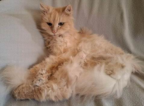 copyright: Sylvie & Marco