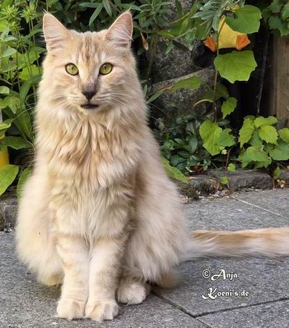 Gianna - 1 Jahr + 4 Monate alt