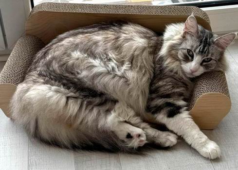 copyright: Jana & Ben