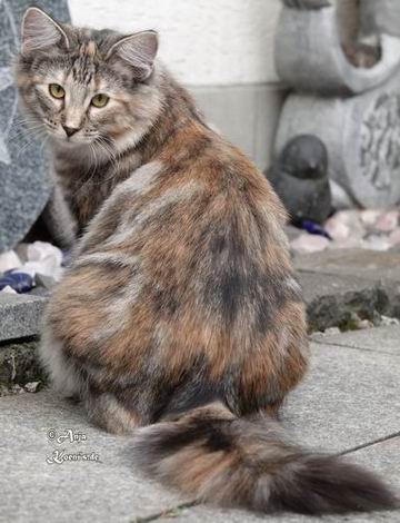 Undine - fast 7 Monate alt