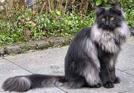 Viani - 9 Monate alt