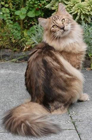 Victor - 7 months old