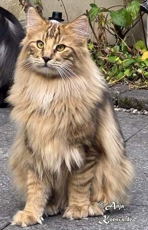 Victor - 9 Monate alt