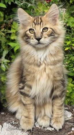 Victor - 4 Monate alt